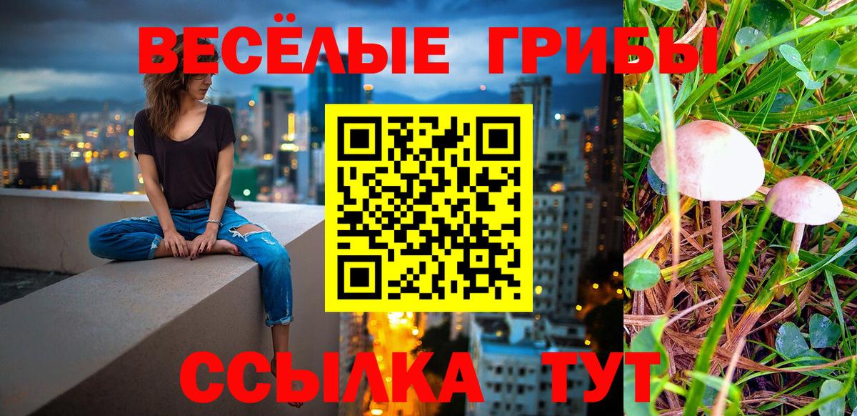 купить   Вход с VPN  Алексин  Галлюциногенные грибы MAGIC MUSHROOMS  Псилоцибиновые грибы Cubensis 