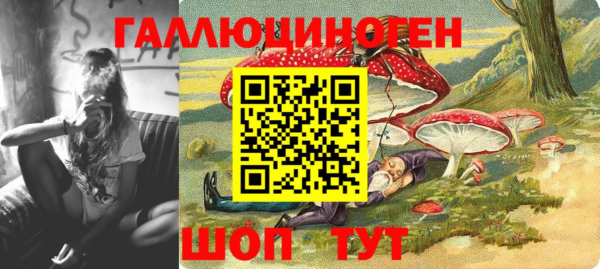 Псилоцибиновые грибы Psilocybe Алексин